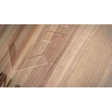 Fenêtre d&#39;auvent à manivelle en bois de chêne massif avec revêtement extérieur en aluminium avec grille